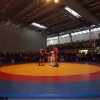 Ringer-Derby-10
